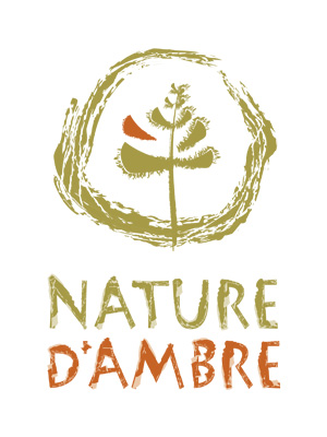 AMBRE - NATURE D'AMBRE