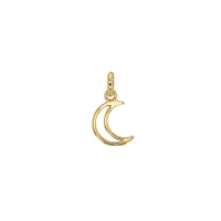 Pendentif croissant de lune ajouré et lisse, plaqué or